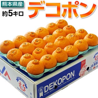 【5kg(15-24玉)】熊本県産 高糖度 デコポン
