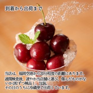 大人気商品 送料無料 アメリカンチェリー1kg ブルックサイド社 直輸入カリフォルニア産チェリー 1kgをご準備しました 当店は全て9 0r 9 5rサイズ以上の大玉です コーラル種 ブルックス種 ツラーレ種 期間限定送料無料 Melitamcoaching Com