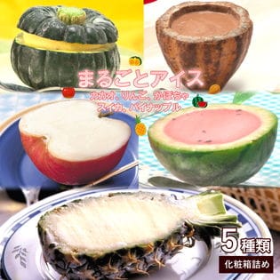 【5種類入り】まるごとアイス　5種セット アイス※かぼちゃ・パイン・すいか・りんご・カカオ