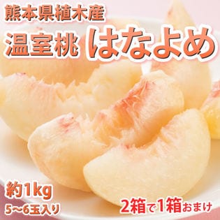 【予約受付】6/8~順次出荷【約1kg(5~6玉】熊本県産 秀品 温室桃 はなよめ