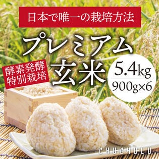 【5.4kg(900g×6)】酵素発酵玄米 あきたこまち