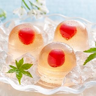 【58g×9個】京都 養老軒 山形県産さくらんぼのゼリー（YJ-YS）