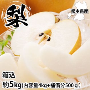 【箱込約5kg】熊本県産 梨《個数・品種おまかせ》(ご家庭用・傷あり)