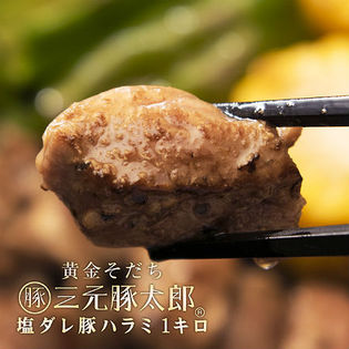 【1kg(500g×2)】三元豚太郎ハラミ