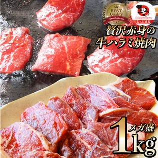 【1kg】牛 ハラミ 焼肉（サガリ）牛肉 メガ盛り（250g×4パック）