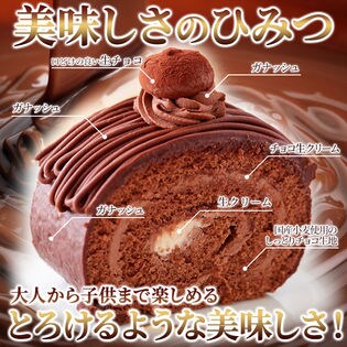 しっとり濃厚な チョコロールケーキ 高級クーベルチュールチョコレートを使用 ロールケーキ チョコを税込 送料込でお試し サンプル百貨店 北海道とれたて本舗