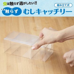 【2個組】触らず むしキャッチリー 日本製 TikTokで話題