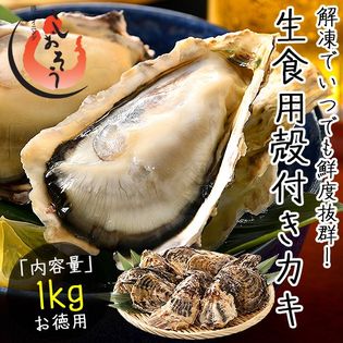 ≪2kg以上の同時お申込で1kgおまけ！≫【1kg(6-8個前後)】牡蠣 生食用 殻付き