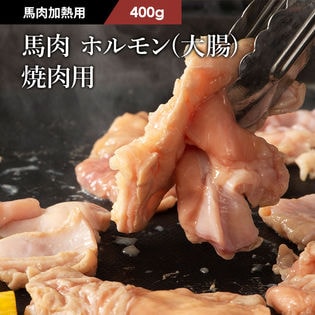 【400g】【加熱用】馬肉 ホルモン（大腸） 焼肉用 400g