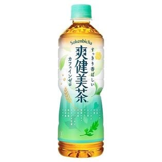 【48本】爽健美茶 PET 600ml