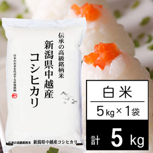 【5kg/白米】 越後の米 令和4年産 新潟県産 コシヒカリ（5kg×1袋）
