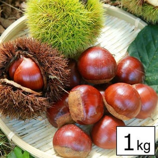 【約1kg】愛媛県産 和栗(くり)ご家庭用