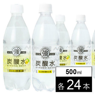 【2種/500ml×48本】強炭酸水（プレーン&レモン） 各24本