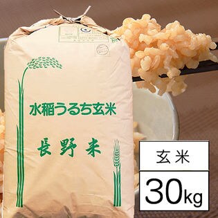 【30kg／玄米】 令和4年産 長野県産 ミルキークイーン 1等 玄米（30kg×1袋）