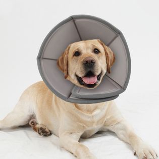 【10号】ペット用品 犬 猫 エリザベスカラー ソフト マジックテープ 3サイズ 術後 保護 傷口