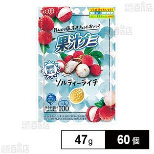 【100個限定】果汁グミ ソルティーライチ 47g