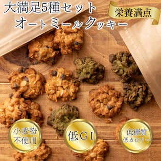 【5種/500g(100g×5袋)】オートミールクッキー（5種各1袋セット）※割れ欠けあり