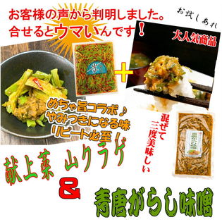 【3種/計3袋】「青唐がらし味噌」「青唐ゆず味噌」「献上菜 山クラゲ」当店人気のご飯のお供が大集合！