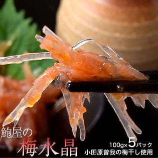 【計500g　100g×5袋】鮑屋の梅水晶  小田原