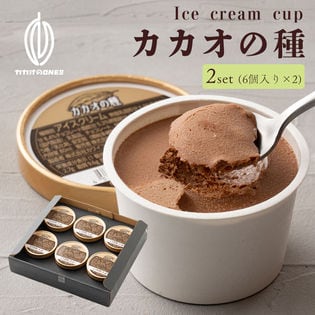 【12個入】カカオの種(チョコレート) カップアイス