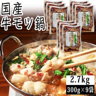 【2.7kg(300g×9)】国産 牛モツ鍋 300g×9袋 (モツ・スープセット) 冷凍