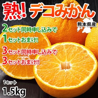 【約1.5kg】熊本県産 熟 デコみかん（傷あり、不揃い、ご家庭用）