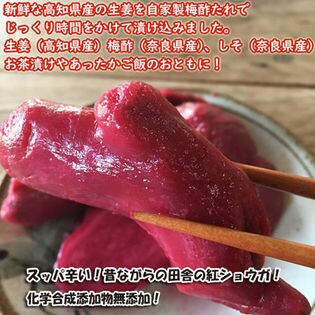 無添加 高知県産 ・奈良の梅農家が自家製の梅酢で漬け込んだ紅しょうが