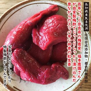 無添加 高知県産 ・奈良の梅農家が自家製の梅酢で漬け込んだ紅しょうが