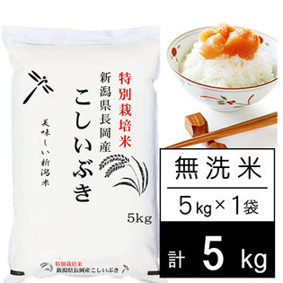 【5kg/無洗米】特別栽培米 令和4年産 新潟県産 こしいぶき（5kg×1袋）