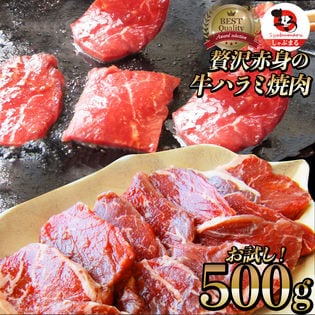 【500g】牛 ハラミ 焼肉 牛肉 メガ盛り（250g×2パック）