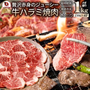 【1kg】牛 ハラミ 焼肉 牛肉 メガ盛り（250g×4パック）