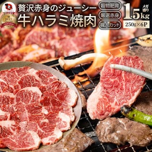 【1.5kg】牛 ハラミ 焼肉 牛肉 メガ盛り（250g×6パック）