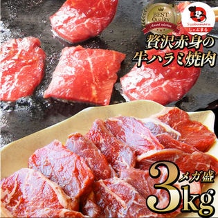 【3kg】牛 ハラミ 焼肉 牛肉 メガ盛り（250g×12パック）