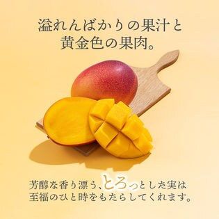 宮崎産〉2L2玉 完熟マンゴーを税込・送料込でお試し｜サンプル百貨店
