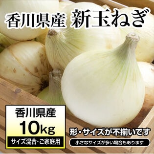 【約10kg(サイズ混合・ご家庭用)】新たまねぎ 香川県産  旬の採れたて新玉ねぎをお届け