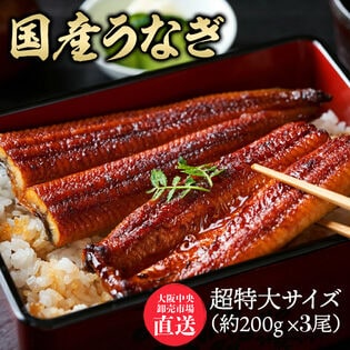 【3尾】特大サイズ 国産うなぎ 蒲焼き（約200g×3尾）大阪中央卸売市場より直送！