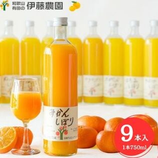 【和歌山　伊藤農園】100％ピュアジュース 750ml×9本セット