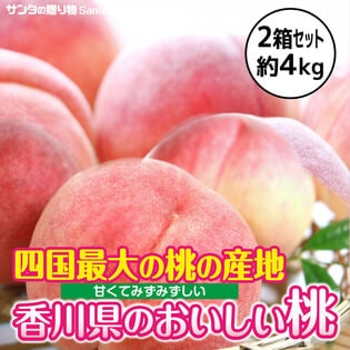【計4kg(8-12玉入×2箱)】香川県産 桃(もも) 四国最大の桃産地