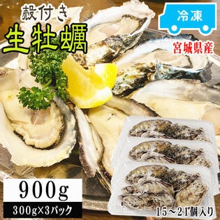 【900g(15~21個入り)】宮城県産 蒸し牡蠣 冷凍