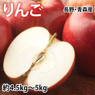 【予約受付】8/24~順次出荷【約5kg（4.5~5kg）】りんご《個数・品種おまかせ》