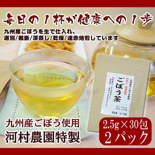 【60包/計150g】ごぼう茶