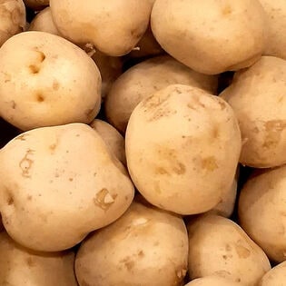 【L~2Lx3kg】静岡県産 三方原馬鈴薯(みかたはらばれいしょ)