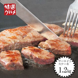 【計1.2kg/120g×10枚】サーロインステーキ