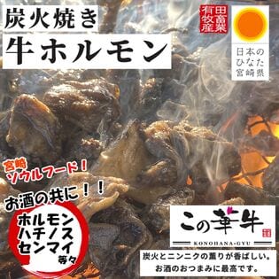 【宮崎名物　炭火焼】この華牛　炭火ホルモン焼き！　【2袋】