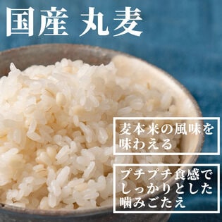 【900g(450g×2袋)】国産丸麦 (雑穀米・チャック付き)