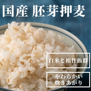 【4.5kg(450g×10袋)】国産胚芽押麦 (雑穀米・チャック付き)
