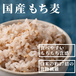 【450g(450g×1袋)】国産もち麦(ダイシモチ) (雑穀米・チャック付き)