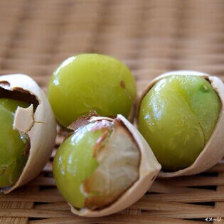 【予約受付】9/25~順次出荷【3Lx300g】愛知県産 祖父江ぎんなん 久寿