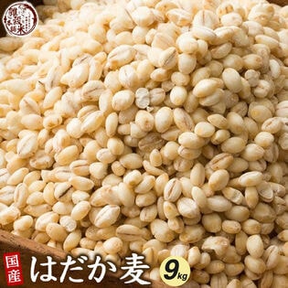 【9kg(450g×20袋)】国産 はだか麦 (雑穀米・チャック付き)