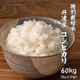 令和5年産【60kg(5kg×12袋)】特別栽培米 コシヒカリ(精白米) 丹波産 令和5年産